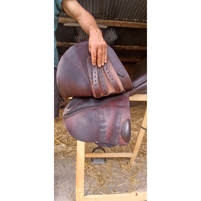 Selle obstacle Forestier Séoul 18"