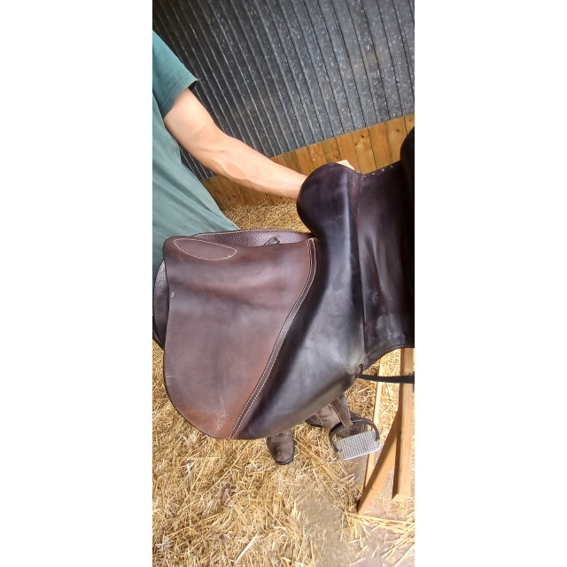 Selle obstacle Forestier Séoul 18"