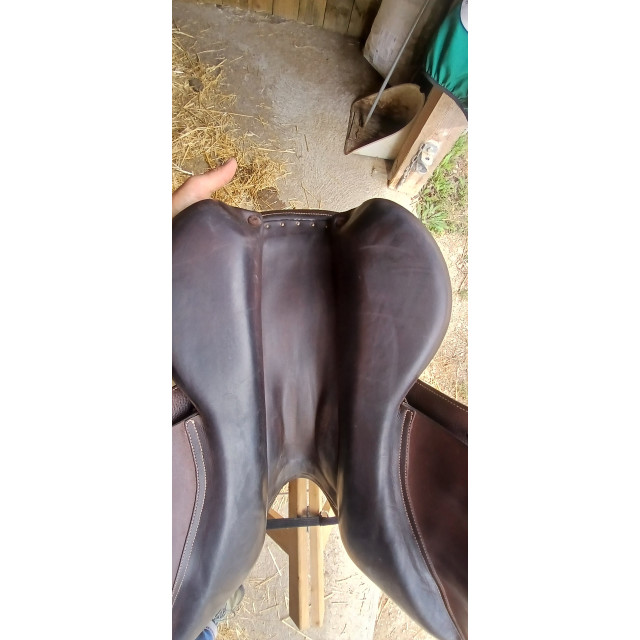 Selle obstacle Forestier Séoul 18"