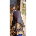 Selle Candice Time Rider 15"