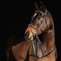 bridon horze noir