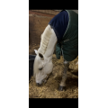 Couverture Horseware