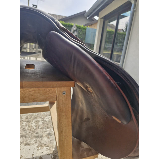 Selle Meyer 18