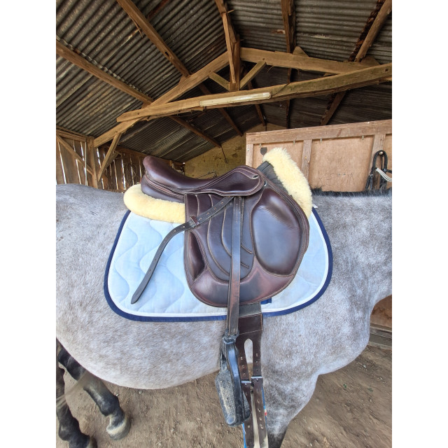 Selle Monoquartier GMD
