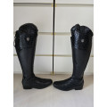 Bottes Mountain Horse
