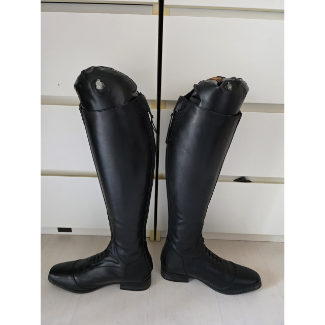 Bottes Mountain Horse