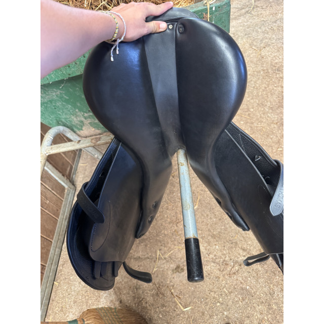 Selle Acavallo Guttuso