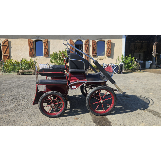 Voiture hippomobile - Marathon Training