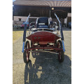 Voiture hippomobile - Marathon Training
