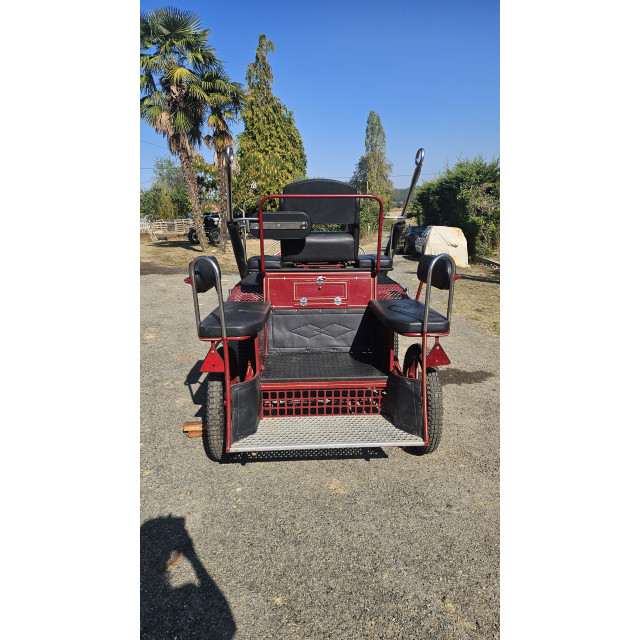 Voiture hippomobile - Marathon Training