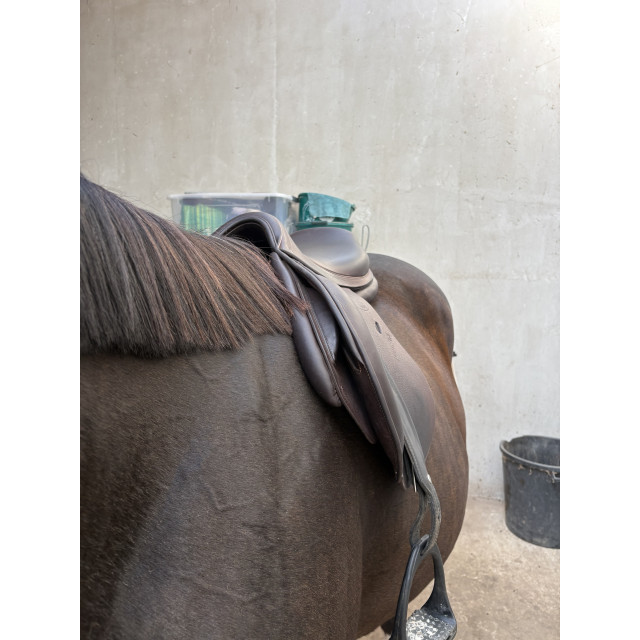 Selle jump’in premium