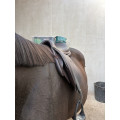 Selle jump’in premium