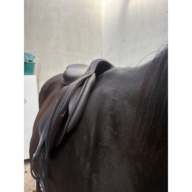 Selle jump’in premium