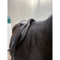 Selle jump’in premium