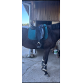 Selle dressage prestige