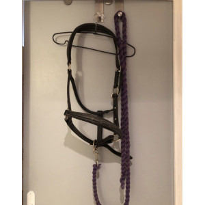 Licol cuir souple cheval