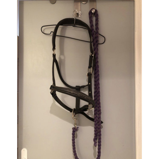 Licol cuir souple cheval