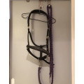 Licol cuir souple cheval