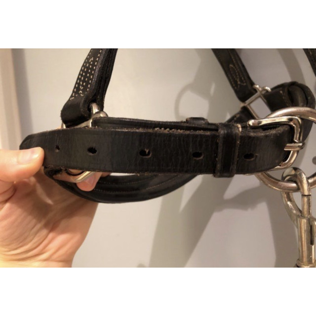 Licol cuir souple cheval