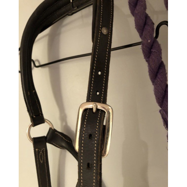 Licol cuir souple cheval