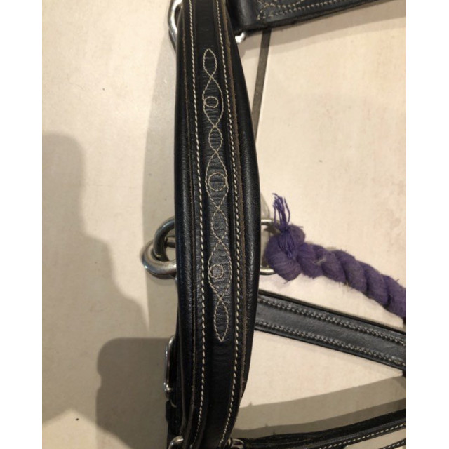 Licol cuir souple cheval