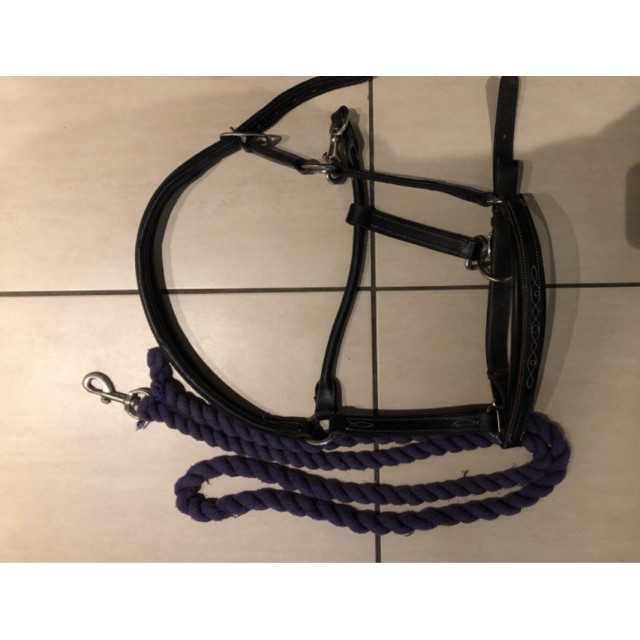 Licol cuir souple cheval