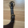 Fourche martingale dyon