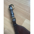 Fourche martingale dyon