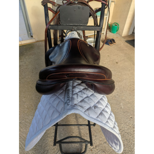 Pack Complet Écurie - Selle CSO Equipe Expression 17" + Accessoires + Chariot + Bridon