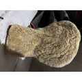 Amortisseur mouton