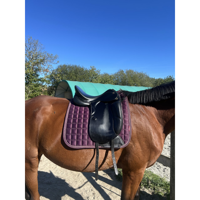 Selle dressage Prestige