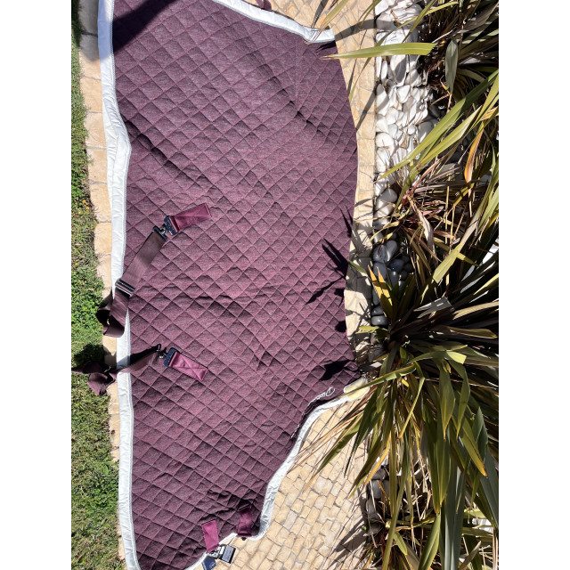 Eskadron Platinum Couverture Box/Show bordeaux