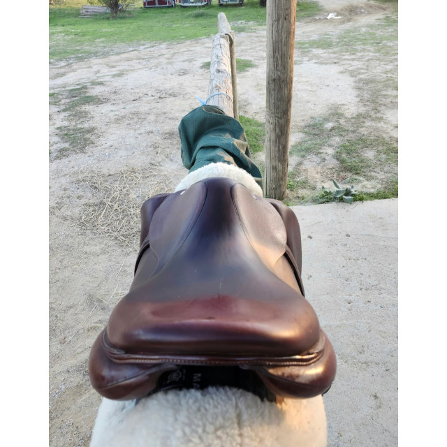 Selle obstacle Devoucoux Biarritz O 2022