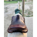 Selle obstacle Devoucoux Biarritz O 2022
