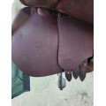 Selle obstacle Devoucoux Biarritz O 2022