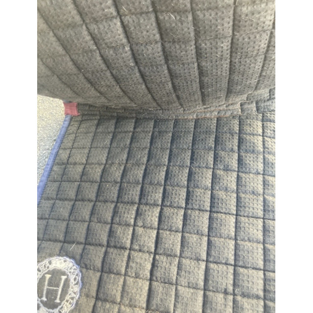 Tapis de dressage