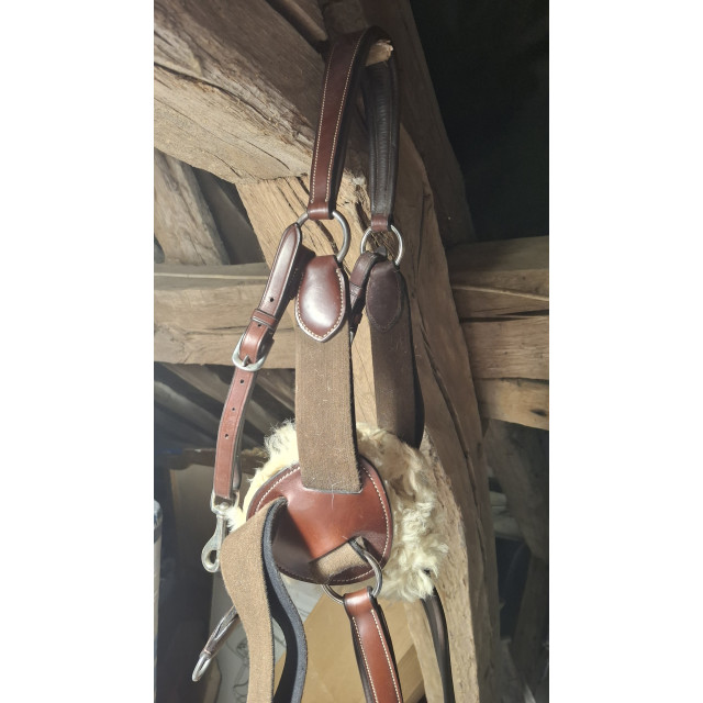 Collier de chasse Lexington - 5 points - cuir marron + moumoute