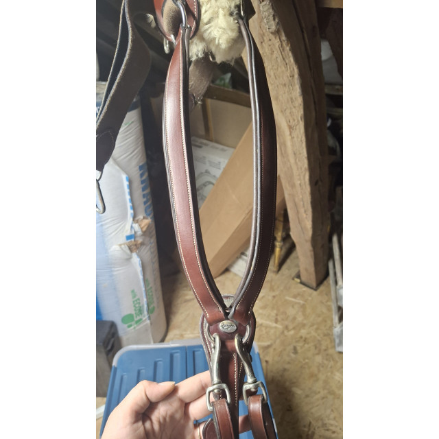 Collier de chasse Lexington - 5 points - cuir marron + moumoute