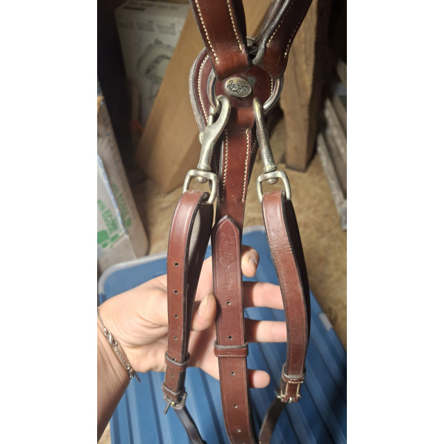 Collier de chasse Lexington - 5 points - cuir marron + moumoute