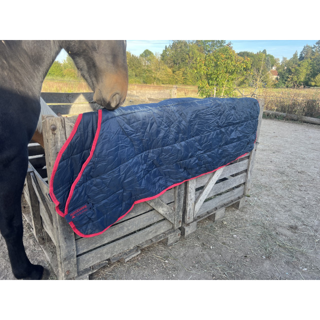 Liner horseware 450g