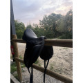 Selle dressage Equipe Emporio