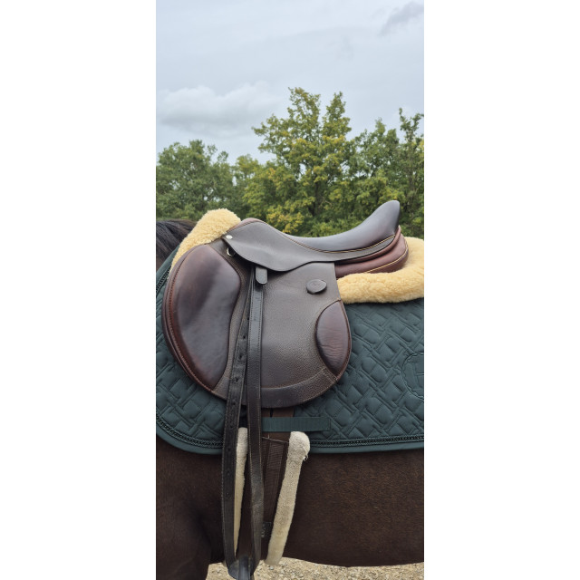 Selle baude - cso/mixte