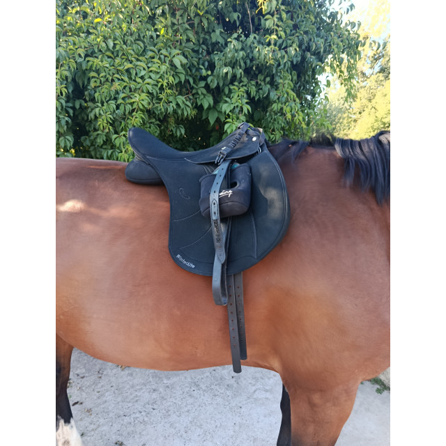 Selle wintec
