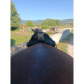Selle wintec