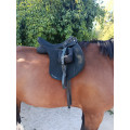 Selle wintec