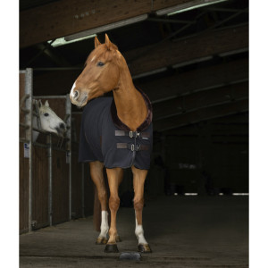 Chemise polaire Equitheme