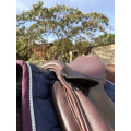 Selle cso fougenza Roméo 17.5 havane