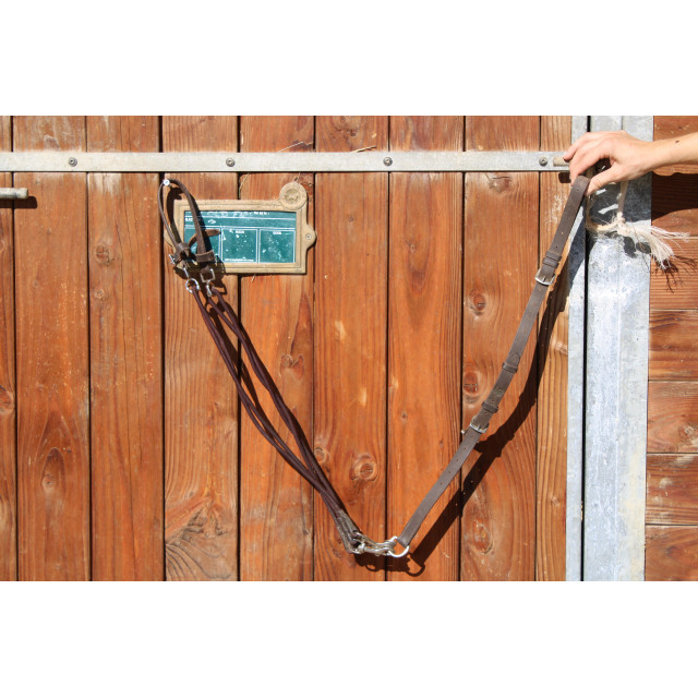 Gogue taille poney marron