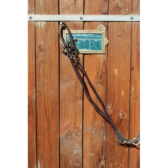 Gogue taille poney marron