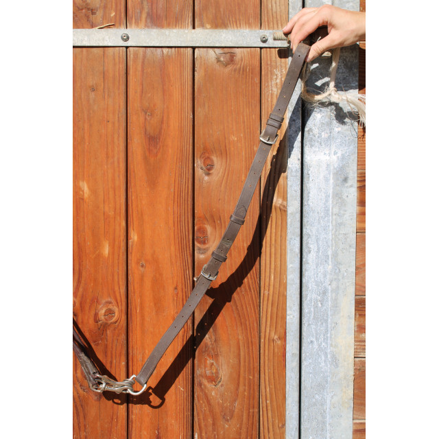 Gogue taille poney marron